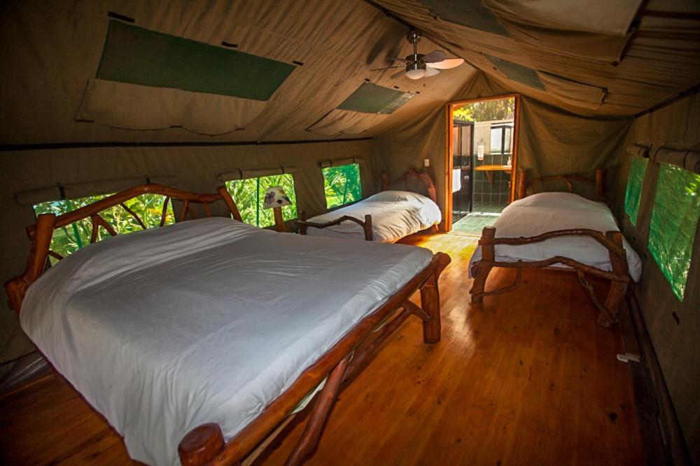 Rafiki Safari Lodge Savegre Exteriör bild