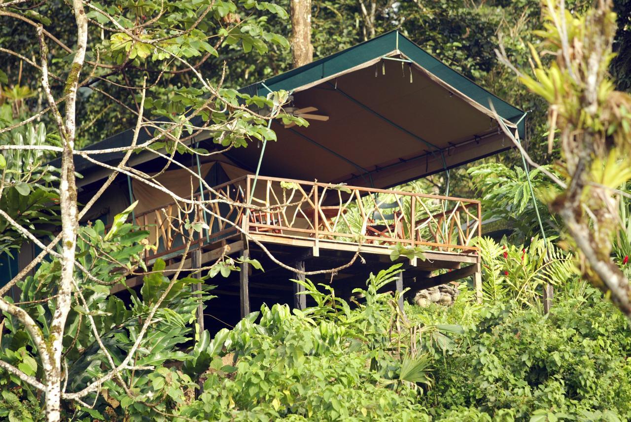 Rafiki Safari Lodge Savegre Rum bild
